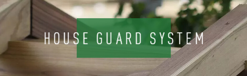 HOUSE GUARD SYSTEM